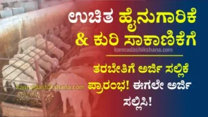 Free Farming And Sheep Training