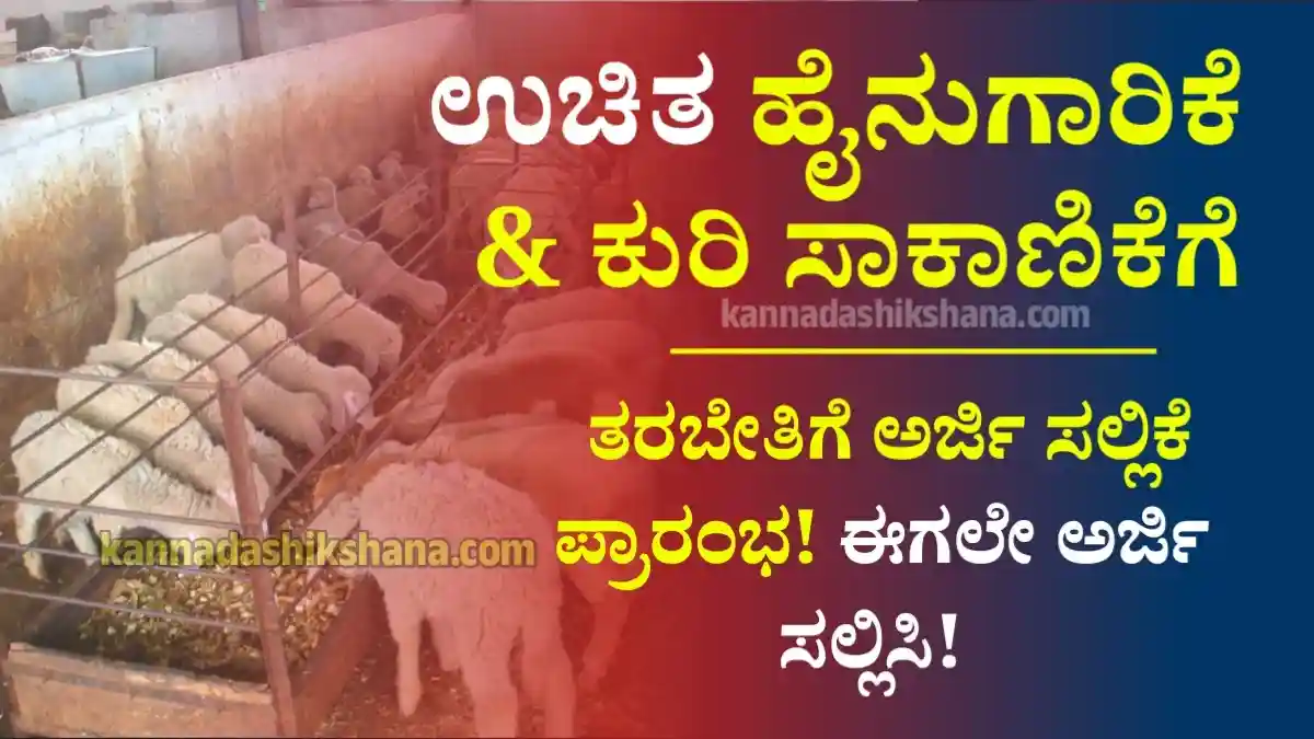 Free Farming And Sheep Training