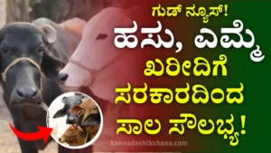 Cow & buffalo Purchasing Loan