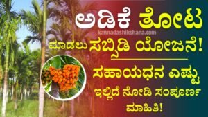 Adike Farming Subsidy