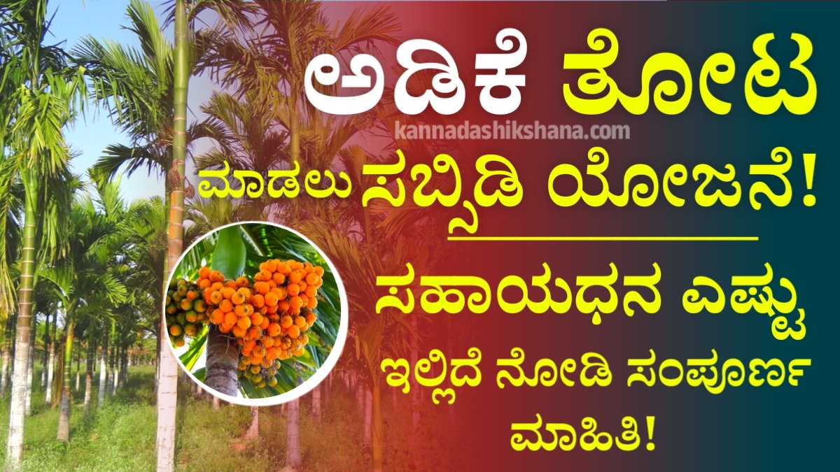 Adike Farming Subsidy