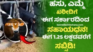 Dairy Farming Loan Scheme