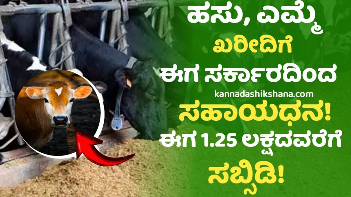 Dairy Farming Loan Scheme