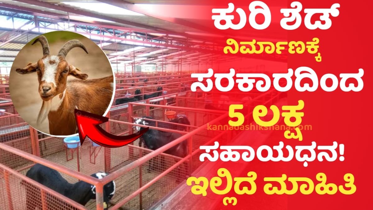 Sheep And Goat Subsidy Scheme