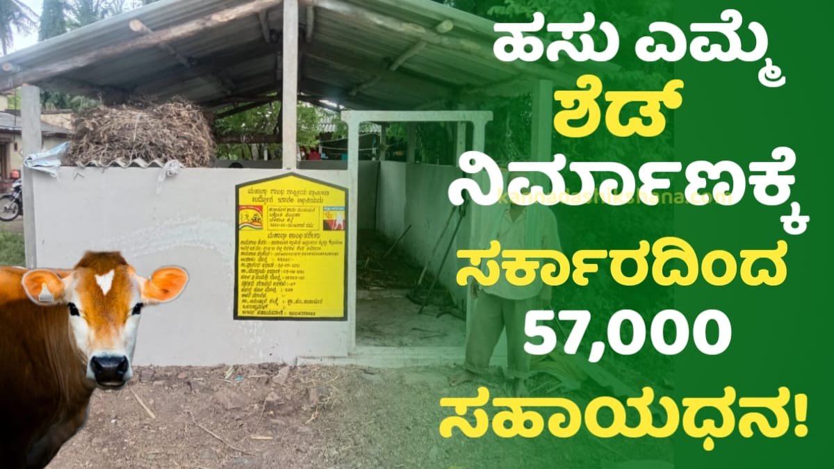 Mgnrega Hasu Emme Shed Scheme