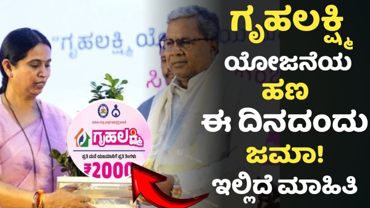 Gruhalakshmi Yojane Amount Credit To This Day