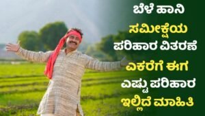 Bele Haani Parihara Amount Released