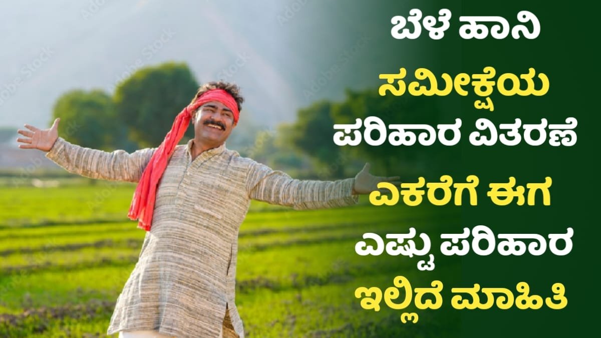 Bele Haani Parihara Amount Released